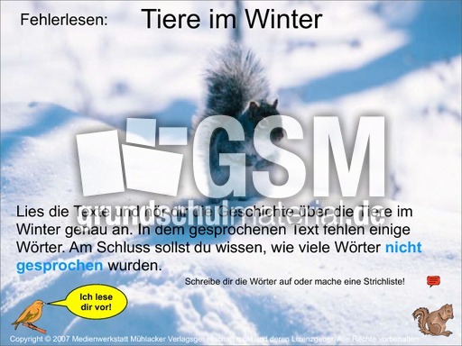 Fehlerlesen-Tiere-im-Winter-Übung.pdf